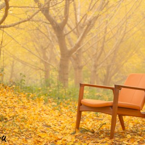 マスターウォール_愛媛_井上家具店