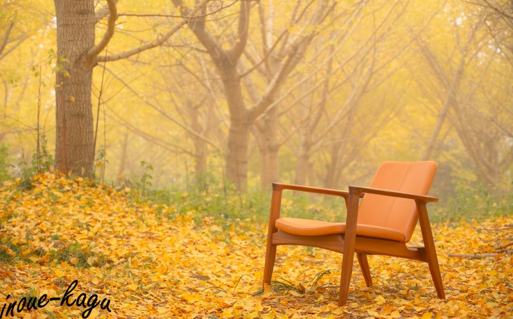 マスターウォール_愛媛_井上家具店