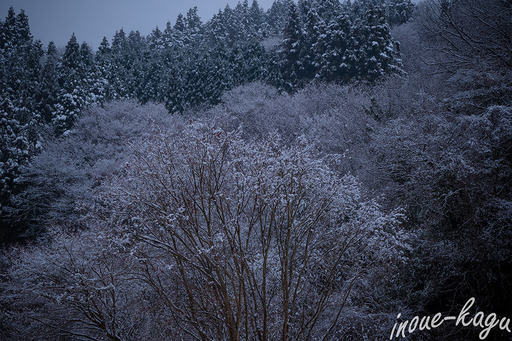 マスターウォールと雪景色3.jpg